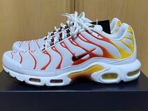 新品 国内正規品 NIKE AIR MAX PLUS 604133-132 US10 28cm WHITE/BLACK-UNIVERSITY GOLD SUNBURN ナイキ エアマックス プラス ホワイト_画像1