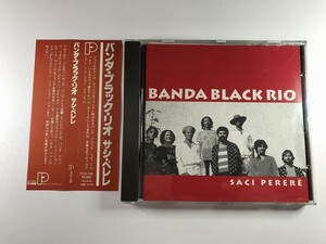 SF331 バンダ・ブラック・リオ / サシ・ペレレ 【CD】 108