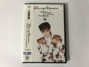 SH171 未開封 小室哲哉 / Digitalian is eating breakfast 【DVD】 0303