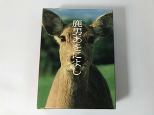 SH589 鹿男あをによし DVD-BOX 【DVD】 0308