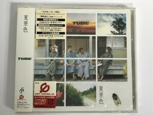SF779 TUBE / 夏景色 / 未開封 【CD】 1025