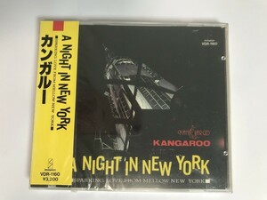 SF970 カンガルー /ア・ナイト・イン・ニュ /A NIGHT IN NEW YORK / 未開封/ 見本 【CD】 1026