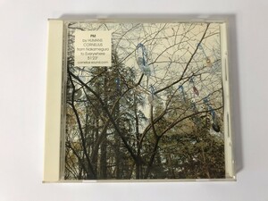 SH803 Dritt Drittell / 富岡輝仁 他 / CORNELIUS PM SAMPLE 【CD】 0311