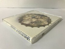 SI139 真島昌利 / 夏のぬけがら 【CD】 0315_画像4