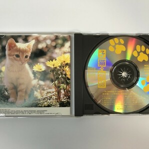 SI405 坂本龍一 / 子猫物語 オリジナル・サウンドトラック 【CD】 325の画像5