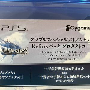 PS4 PS5 GRANBLUE FANTASY : Relink グランブルーファンタジー リリンク 特典 グラブル スペシャルアイテムセット パック 未使用コード