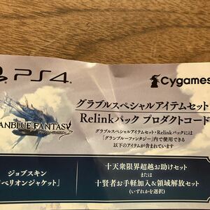 特典コードのみ PS5 PS4用 GRANBLUE FANTASY Relink グランブルーファンタジー リリンク グラブルスペシャルアイテムセット Relinkパック