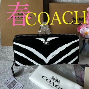 COACH 長財布新品2024新作ゼブラ