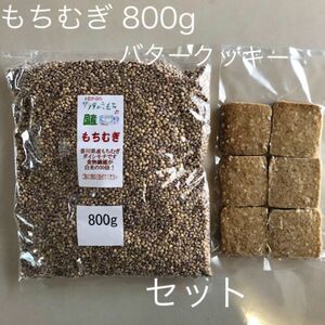 国産もち麦800gバタークッキー