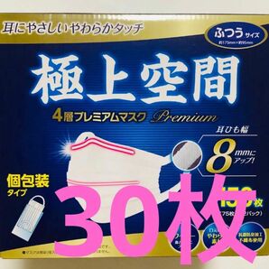 極上空間　ふつうサイズ　30枚　コストコ