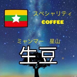コーヒー　生豆　ミャンマー　星山