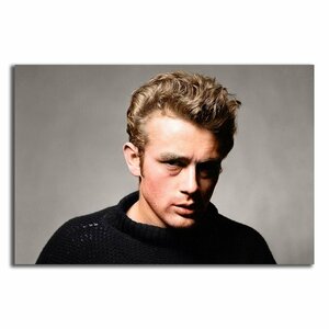 ジェームズ・ディーン James Dean ポスター ボード パネル フレーム 75x50cm 海外 インテリア グッズ 絵 雑貨 写真 フォト アート 大判 10