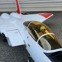 動作未確認 F-15C Eagle ラジコン ジェット機 大型 スケール 引き取り限定 大阪_画像3