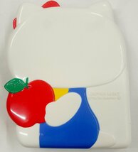 【長期保管品】HELLO KITTY/ハローキティ誕生30周年 2004コインセット_画像2