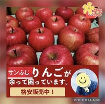 ★訳あり秀品★☆青森産ふじ林檎大量８～１０玉入箱☆ふじりんごフジリンゴ☆　　　　　　　　　_画像1