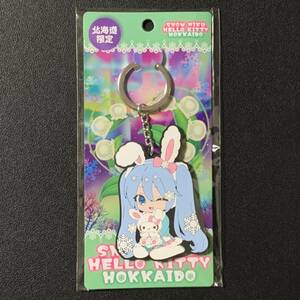 SNOW MIKU × HELLO KITTY　雪ミク × ハローキティ　北海道限定　ラバーキーホルダー ①