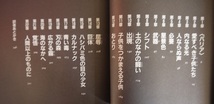 川・シルバー・チャイルド。クリフ・マクニッシュ。訳・金原瑞人・中村浩美（Ⅱ・Ⅲ）。３冊セット。理論社。_画像9