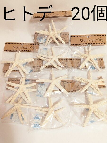 2個入　10袋　20個　ヒトデ　ヒトデオブジェ　Star Fish ハンドメイド