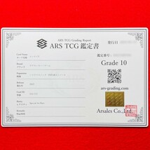 【ARS鑑定 10】エンテイV SAR 213/172 Special Art Rare ポケカ ポケモンカード 鑑定書 PSA BGS ARS ARS10 鑑定品 ポケカ VSTARユニバース_画像3