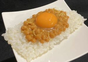 食品サンプル　納豆たまごかけご飯