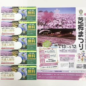  Sakura flower see jupi Alain do common . lawn grass Sakura Sakura travel . exactly go in . free ticket 5 pieces set 