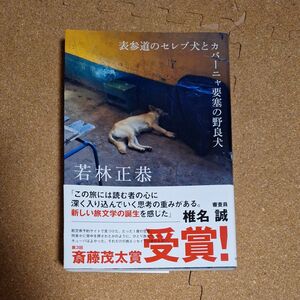 表参道のセレブ犬とカバーニャ要塞の野良犬　 若林正恭