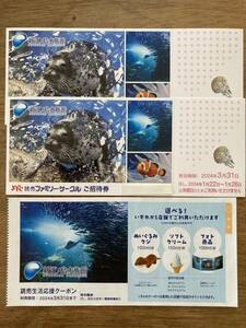 ★新江ノ島水族館 ご招待券 2枚セット 期限3/31まで★無料券・入館券・チケット・ペア★おまけクーポン付き