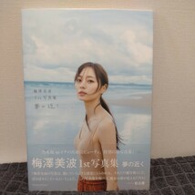 夢の近く　梅澤美波１ｓｔ写真集 〔東京祐／撮影〕　梅澤美波／著　乃木坂46_画像1