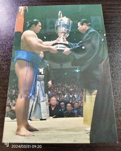 昭和レトロ　千代の富士　アマダ　カード（サイズ約１２，８㎝）ナンバー１６　格安　まとめ　大相撲　横綱　ヴィンテージ　尊富士