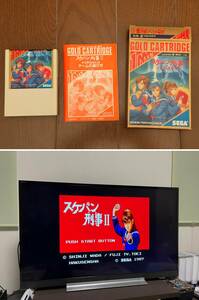 スケバン刑事Ⅱ　少女鉄仮面伝説　セガマークⅢ　MarkⅢ　マスターシステム　MASTER SYSTEM　SEGA　セガ　和田慎二　G-1318