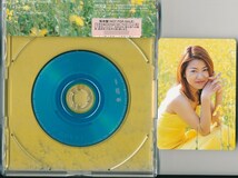 タンポポ / たんぽぽ (Single Version) /中古CD！69049_画像2