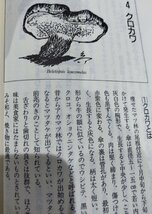 野生きのこのつくり方 小川眞 林業改良普及双書110【ac03q】_画像6