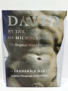 David by the hand of Michelangelo ミケランジェロの手によるダビデ像　洋書/英語/彫刻【ac02l】