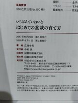 いちばんていねいな はじめての盆栽の育て方　広瀬幸男　日本文芸社【ac02q】_画像6