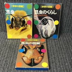 学研の図鑑■昆虫系 3冊セット / 昆虫・昆虫のくらし・昆虫の図解■昭和 レトロ 函 昭和54年■中古