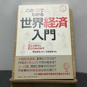 この1冊でわかる世界経済入門 熊谷亮丸 大和総研 230914