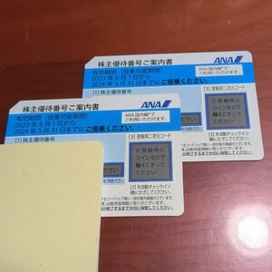 ANA 株主優待券２枚 ２０２４年５月３１日まで有効