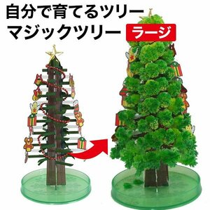 マジックツリー クリスマスツリー 20時間で育つ ラージ 【グリーン】