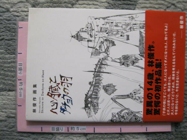 心臓とダチョウの羽 林俊作画集 2007年 初版 リトルモア (ソフトカバー/美術・イラスト画集)