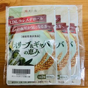 和漢の森 オリーブ&ギャバの恵み 60粒入り サプリメント 健康食品　3袋