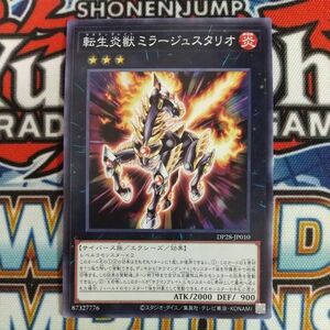 z4375☆遊戯王☆ 転生炎獣ミラージュスタリオ 1枚 ノーマル DP28 サラマングレイト 数量3