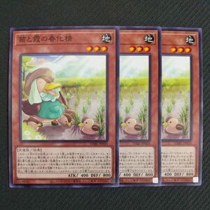 v484☆遊戯王☆ 苗と霞の春化精 3枚 ノーマル DABL 在庫3セット