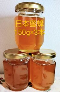 日本みつばち 生蜂蜜 非加熱 純粋ハチミツ 国産 百花 巣蜜 宮城県産