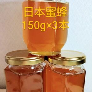 日本みつばち 生蜂蜜 非加熱 純粋ハチミツ 国産 百花 巣蜜 宮城県産