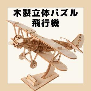木製 DIY 模型組立　ウッドクラフトキット　飛行機　知育　夏休み　自由研究 小学生