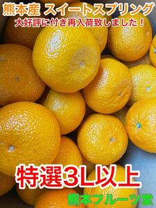 大好評に付き再入荷致しました！【贈答サプライズ】味に当たり外れなし！見た目を裏切る美味しさスイートスプリング（特選3L以上約5ｋ）15