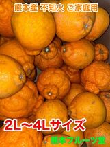 終了濃厚！ご家庭用見た目は悪いですが味はいいです！熊本産 不知火 2L〜4L以上約10k 熊本フルーツ堂38_画像1