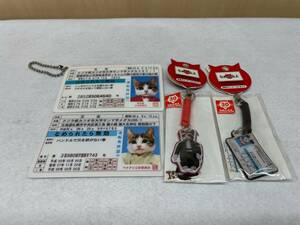 #719 なめねこ なめんなよ 又吉 なめ猫グッズ ストラップ 免許証風