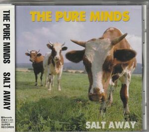 レアCD◆ザ・ピュア・マインズ （THE PURE MINDS)/ ソルト・アウェイ ★同梱歓迎！ケース新品！