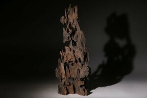 ☆百合☆沈香　高さ約31.5cm　重量約586ｇ　（検）伽羅 香木 香道具 中国美術 唐物 古玩
